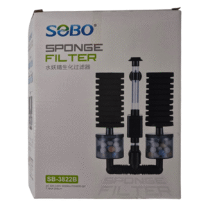 Double Sponge Filter with Pump