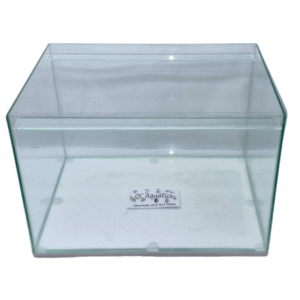 Glass Fish Tank