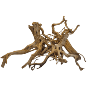 Spiderwood