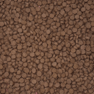 Bottom Feeder Pellets